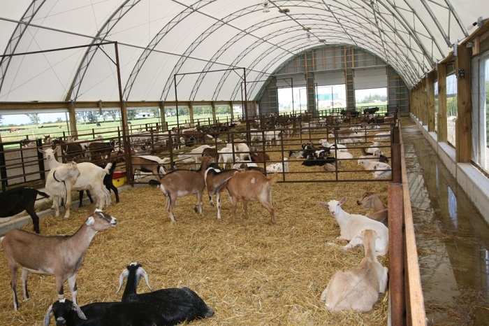 Yalıtımlı Hayvan Çadırı,Yalıtımlı Hayvan Branda Modelleri Fiyatları